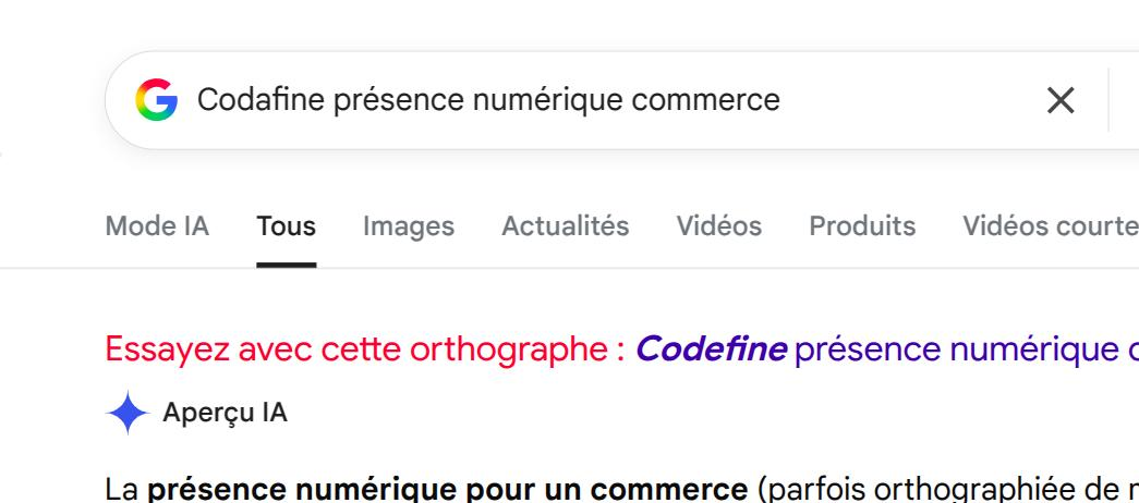 Page de résultats pour le nom d’un commerce, informations sensibles floutées